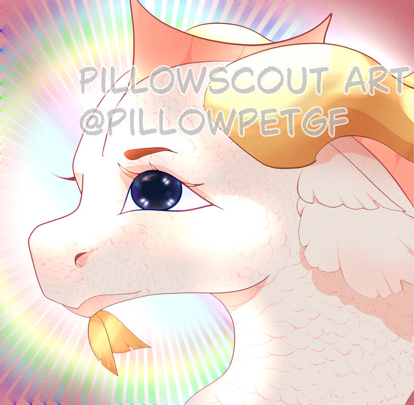 2024 Colored Shaded Headshot