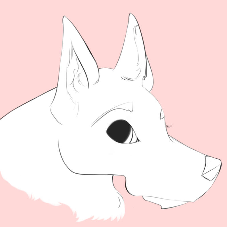 2024 Sketch Uncolored