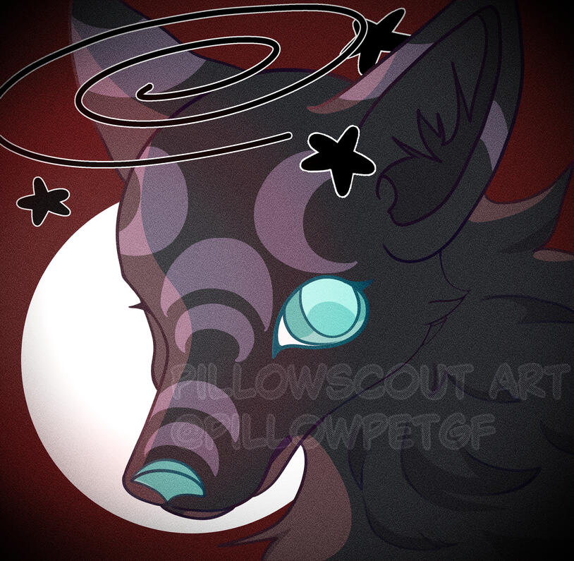 2024 Colored Shaded Bust